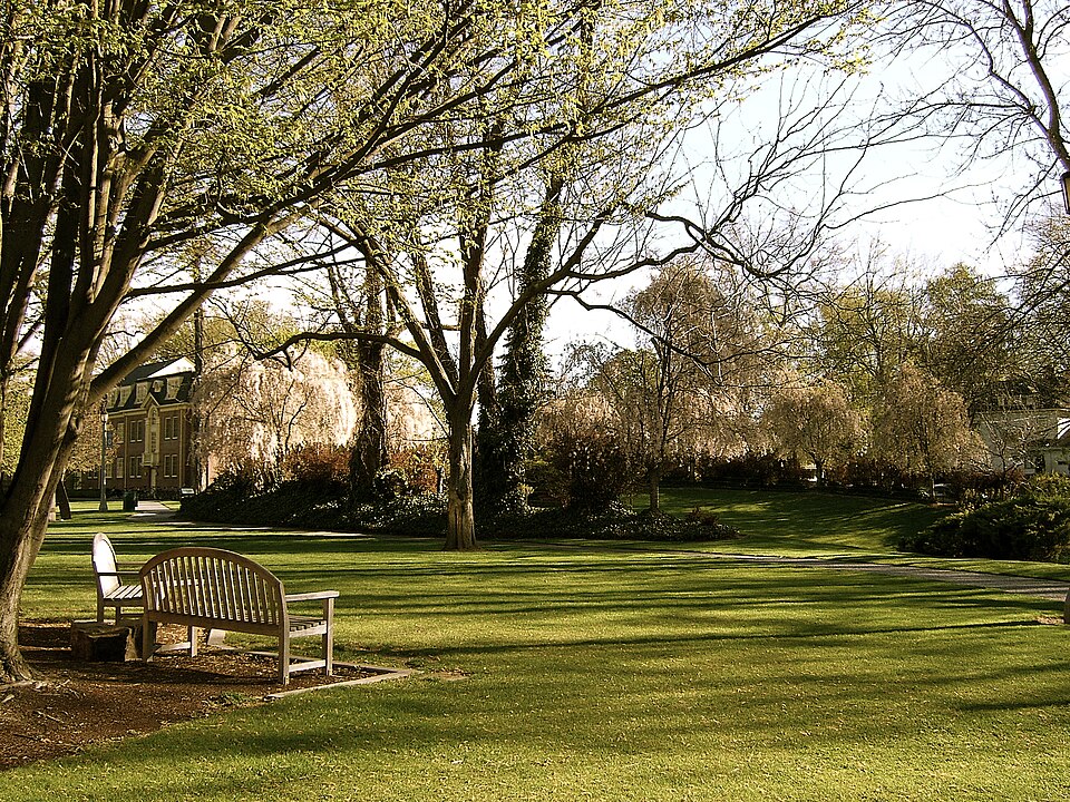 Wooden benches under spring trees on a wide lawn, with a brick building in the distance